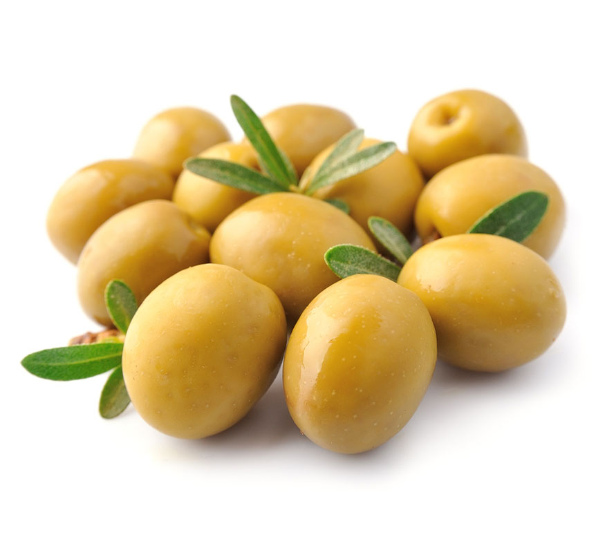 نهال زیتون زرد (طارم) 